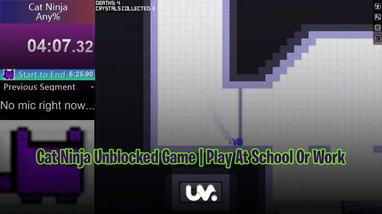 Cat Ninja Unblocked Game | Play At School Or Work
