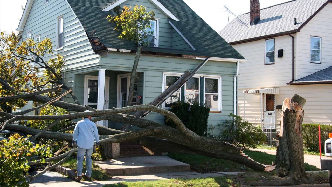 6566d058a4f6d647139a8275 Property Damage Insurance 1