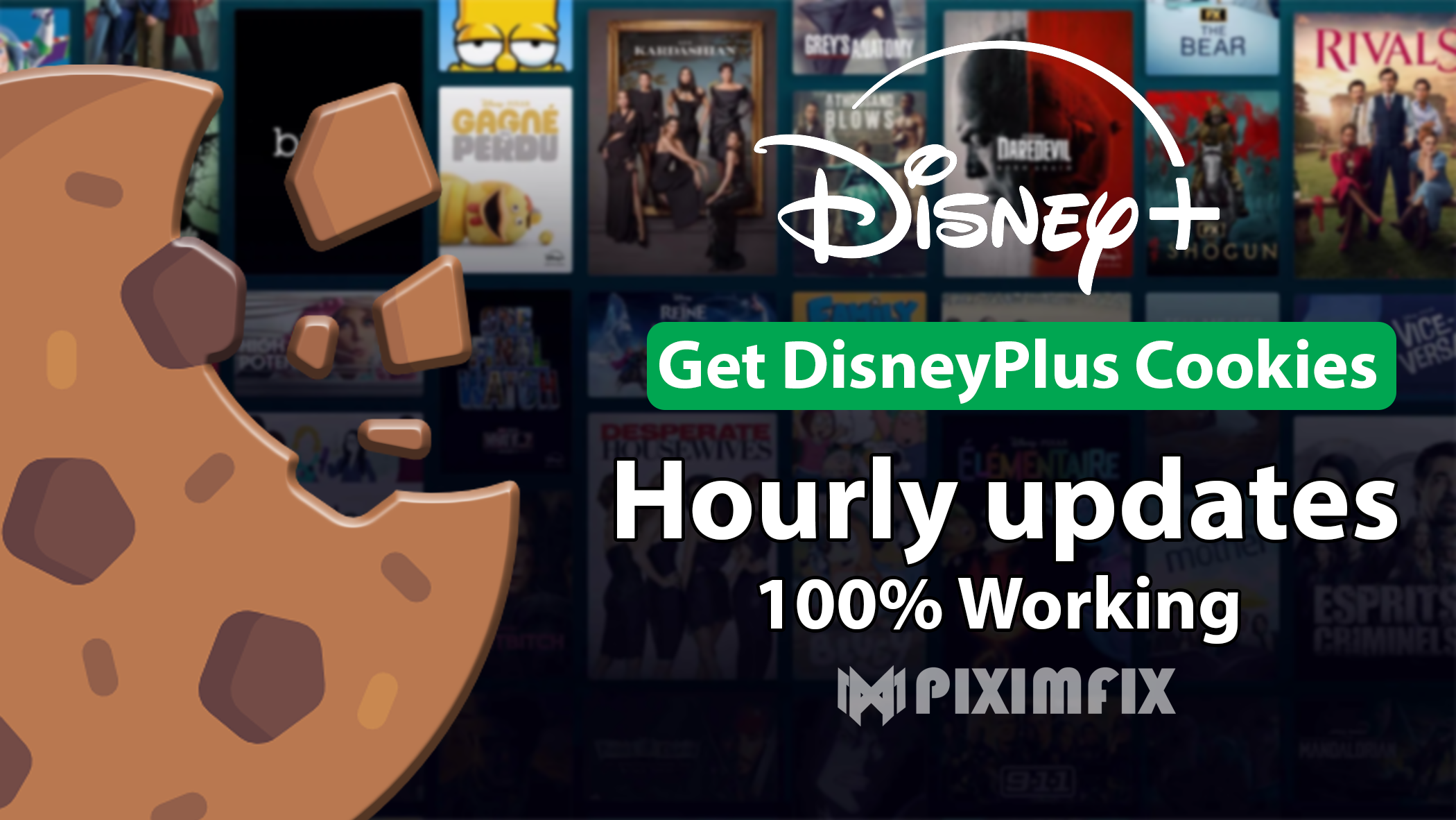 Disney Plus Account